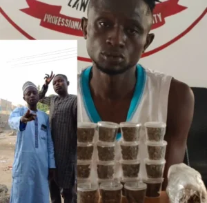 Sowore Condemns Seven-Year Jail Term for Man Convicted Over Cannabis Advertisement