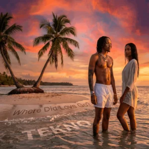 Tekno Releases New Album “Where Did Love Go?”